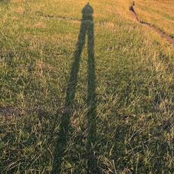 Da habe ich einen langen .... Schatten