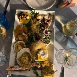 Fisch Antipasti in der Trattoria Al Timon - Fabelhaft 😊