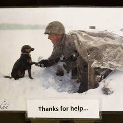 The museum prides itself on its collection of never-before published photos.