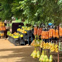 Unterwegs im Senegal 😃