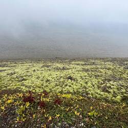 On the way up in the mist