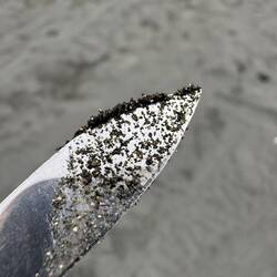 Der ultimative Schweizer-Messertest - der Sand war wirklich magnetisch