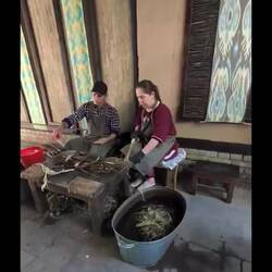 Paper production - videos and stills