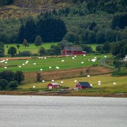 Rural landscape as we depart Nesna.