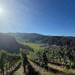 Am Fuße des Schwarzwaldes gelegen. Von der Sonne verwöhnt.