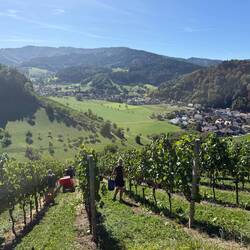 In traumhafter Lage. Mit hervorragender Gastronomie.