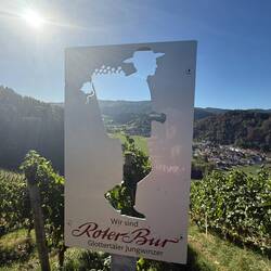 Warum heisst unser Team "Paradise Valley"?