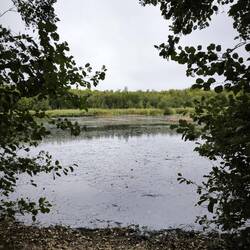 Prödeler Teiche