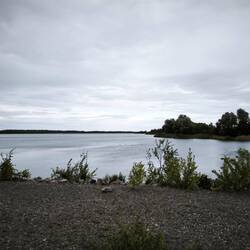 Cospudener See
