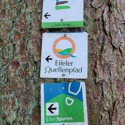 Der Quellenpfad weist mir den Weg.