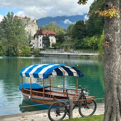 Morning at Bled Mlino.