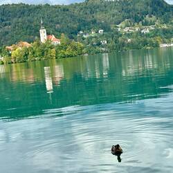 Calm clear water.