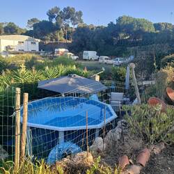 Unser Pool mit Lounge.