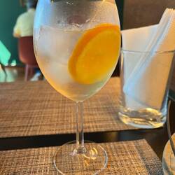 Thought I'd better try a Porto Tonico, dry white port with tonic on ice