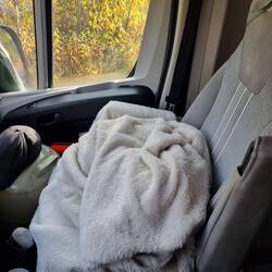 Jap, da ist ein Hund drunter versteckt. Und ja der schläft seelenruhig.