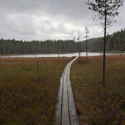 Kleiner Steg zum Portilampi, dem Torteich
