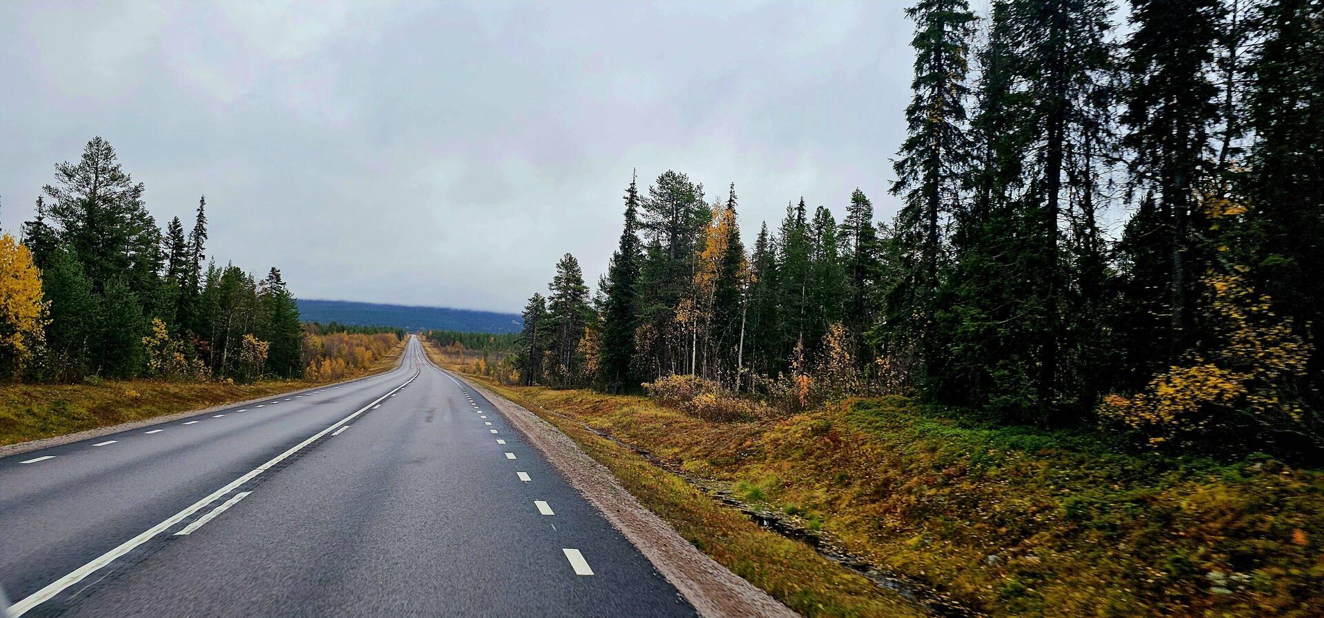 So leer waren die Landstraßen bis nach Lappland