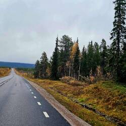 So leer waren die Landstraßen bis nach Lappland