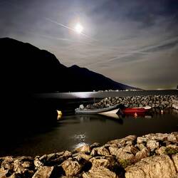 Moonlight Serenade