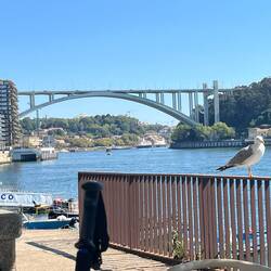 Looking back towards Ponte da Arrábida from my drink stop