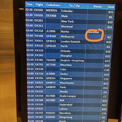 Tokyo-Narita ist hier gemeint
