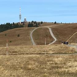 Blick vom Seebuck zum Feldberggipfel