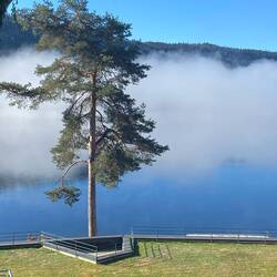 Morgennebel am Titisee..