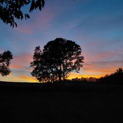 Sunset at LPR