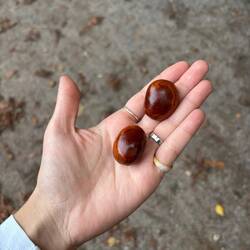 seit zwei Jahren endlich mal wieder Herbst erleben. Mein Traum
