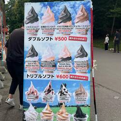 Squid ink and wine ice cream?