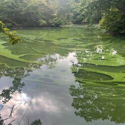 Reminded us of the reflection pool