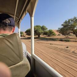 Just a sand trackway now