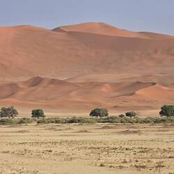 The dunes are so good