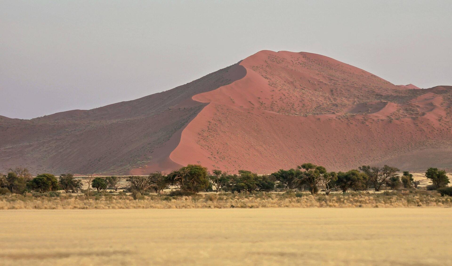 The dunes were stunning in the morning light