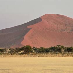 The dunes were stunning in the morning light