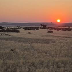 Sunset as we headed back to the lodge