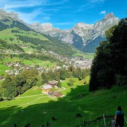 ... zurück im Tal.