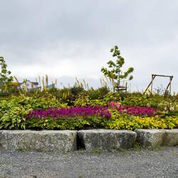 Pop of color at the park on Lille Brønnøya.