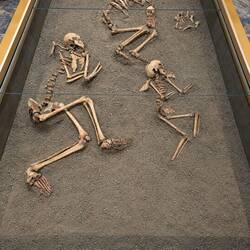 The real Lady of Sarazm! (Middle skeleton)