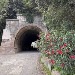 Typischer Tunnel auf dem Ponalweg