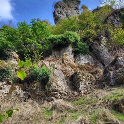 Schöne Felsen.