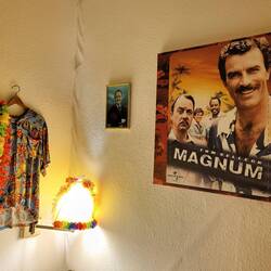 Ich sage Magnum "Goodbye".