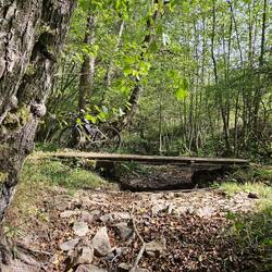 Dried up stream