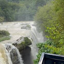 Durch den massenhaften Regen war richtig was los im Canyon