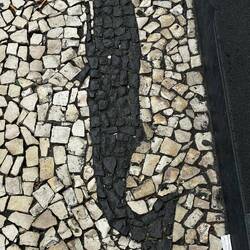 Sämtliche Wale zieren das Stadtbild am Hafen.