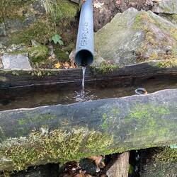 Einer der wenigen nicht trockengefallenen Brunnen am Westweg