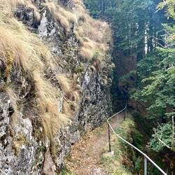 ..über teils sehr alpine Passagen