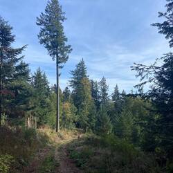 Der lange Abstieg nach Kandern