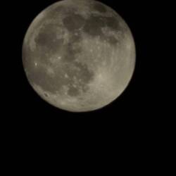 Vollmond 🌝