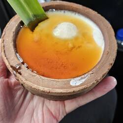 Curd, ein himmlisch schmeckender Joghurt mit Honig